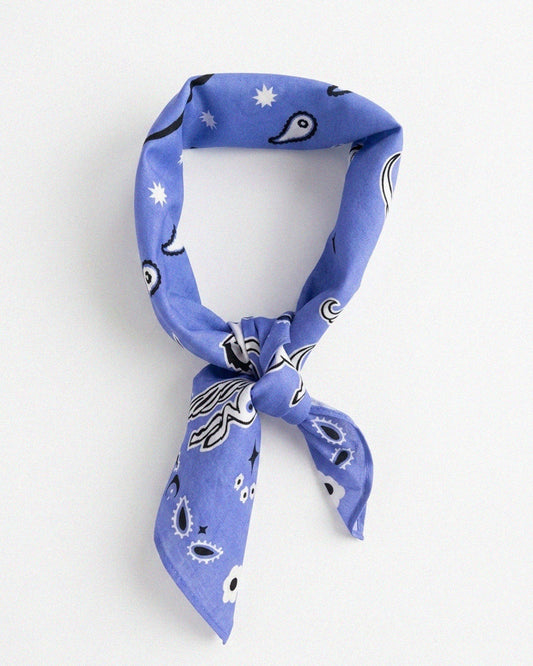 Bandana pegaso azul. Presencia
